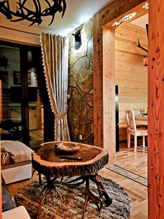 Apartament Rykowisko Закопане Экстерьер фото